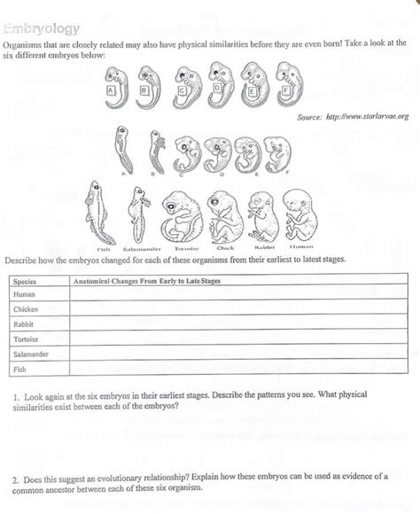 Evidence of evolution worksheet 2 - Brainly.com